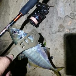 尺~越えてたよアジング