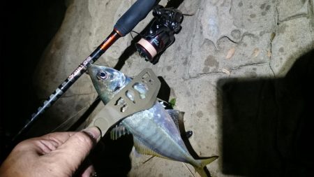 尺~越えてたよアジング