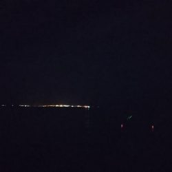 太刀魚ワインド