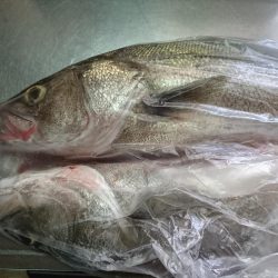 台風後の朝散歩