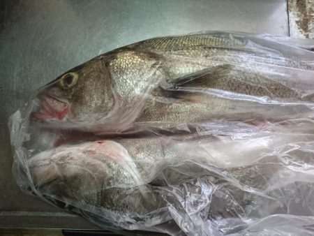 台風後の朝散歩