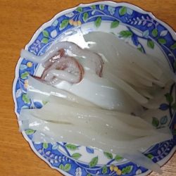 厳しいスタート秋アオリ