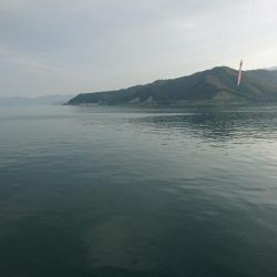 サゴシが釣れない