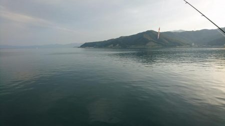 サゴシが釣れない