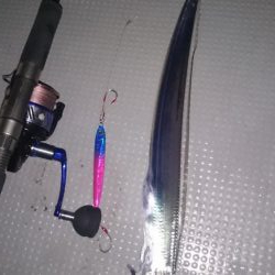 タチウオジギング