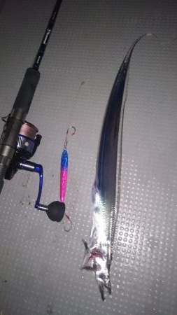 タチウオジギング