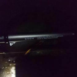 シーバスロッドで…