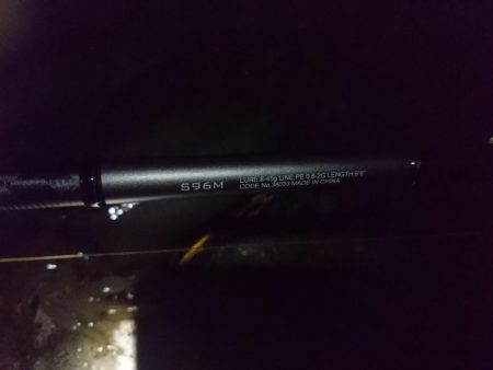 シーバスロッドで…