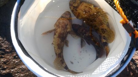 台風前の弾丸釣行