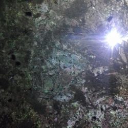 なんとか30アップ！