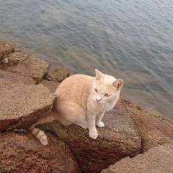 のんびりフカセ