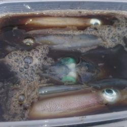 約1ヵ月前よりかなり大きく(*´-`)