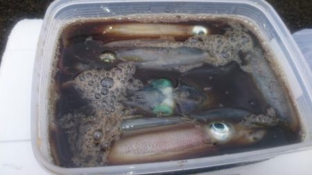 約1ヵ月前よりかなり大きく(*´-`)