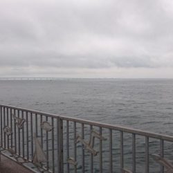 ２日連続タチウオ遠征