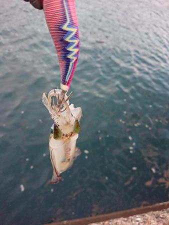 なんとも厳しい