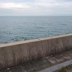 またタチウオ貝塚遠征