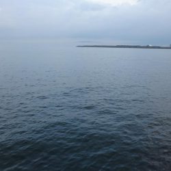 今日は泉大津エリアでタチウオ釣り