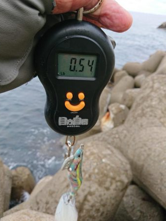 いろいろ釣れました