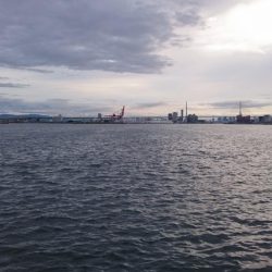 台風直前タチウオ釣行