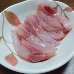 タチウオとハマチと小魚