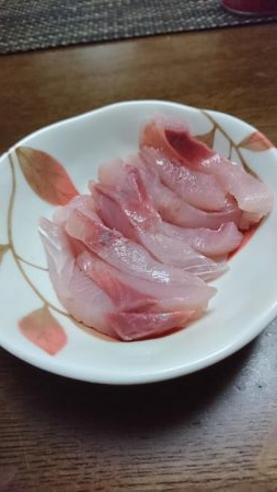 タチウオとハマチと小魚