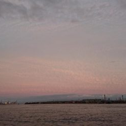 タチウオどこ行った？？