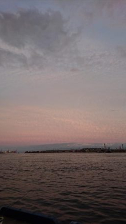 タチウオどこ行った？？