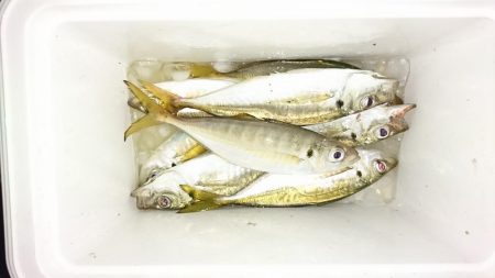 サーフアジング