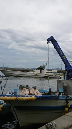 アオリイカ解禁日