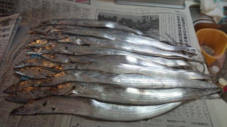 タチウオフィーバー