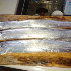 静岡県で初タチ