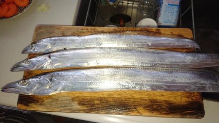 静岡県で初タチ