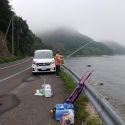 境水道で五目釣り