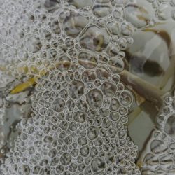 呑ませでツバス