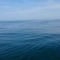 二馬力ボートで釣り三昧