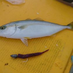 二馬力ボート釣行