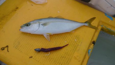 二馬力ボート釣行