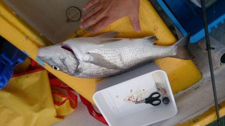 二馬力ボートで五目釣り