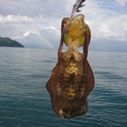 三連休初日エギング