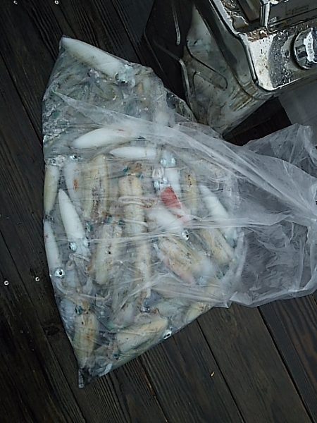 ティップランにて