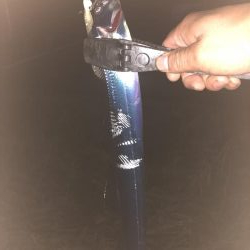 タチウオ調査(o^^o)