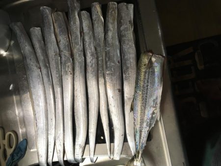 久しぶりの神戸渡船が吉