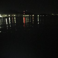 今シーズン初タチウオ！