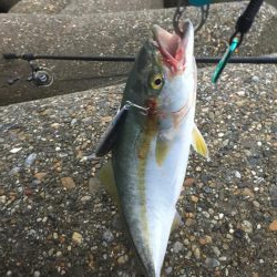 昨年は、釣れなかったのに！