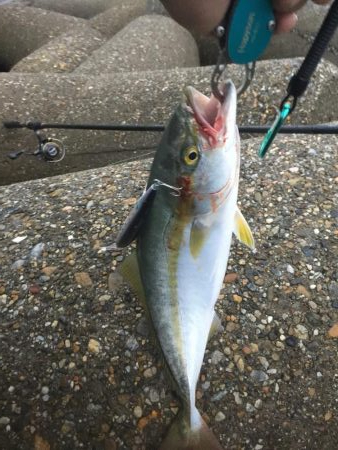 昨年は、釣れなかったのに！