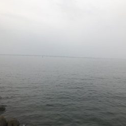 タチウオはどこへ(°_°)