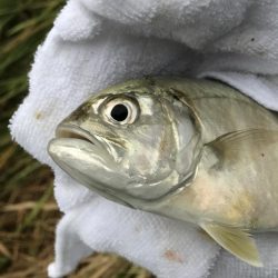 ランガンメッキ