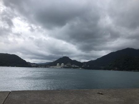 福井県初上陸、秋サゴシ調査