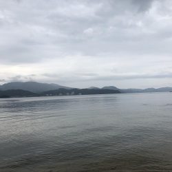 短時間サーフエギング