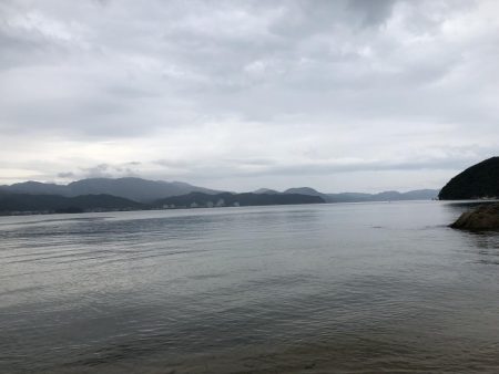 短時間サーフエギング